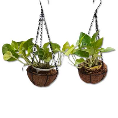 "Spiritual Feelings - Click here to View more details about this Product